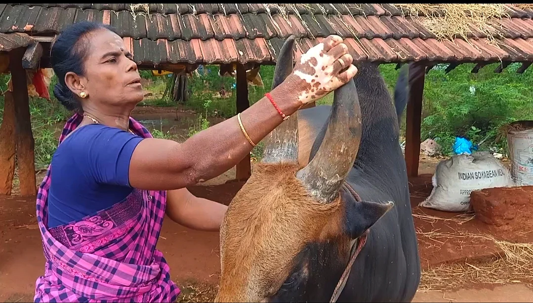 செல்வராணி
