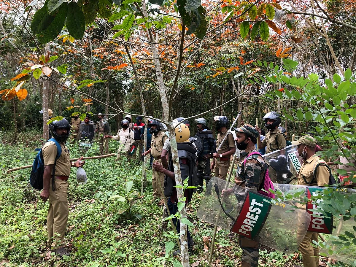 tiger searching operation