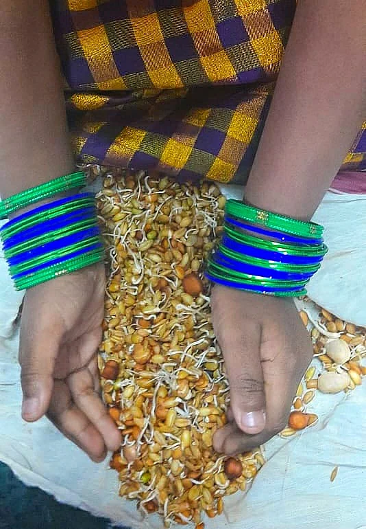 முளைக்கட்டிய நவதானியங்கள்