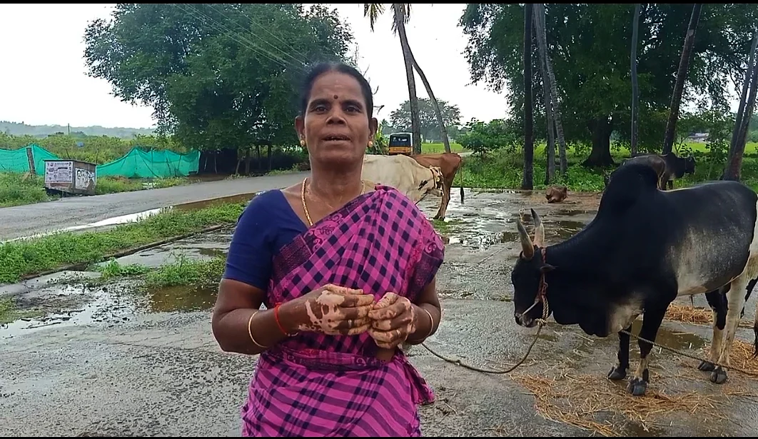 செல்வராணி