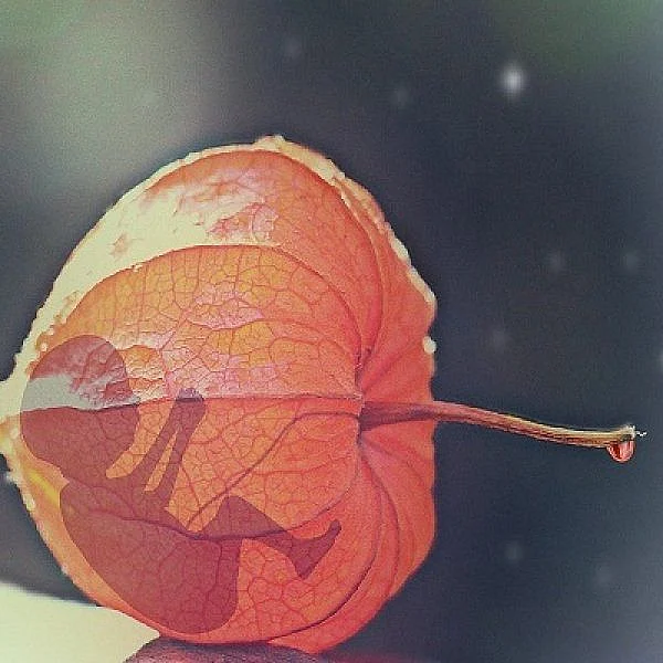 Miscarriage