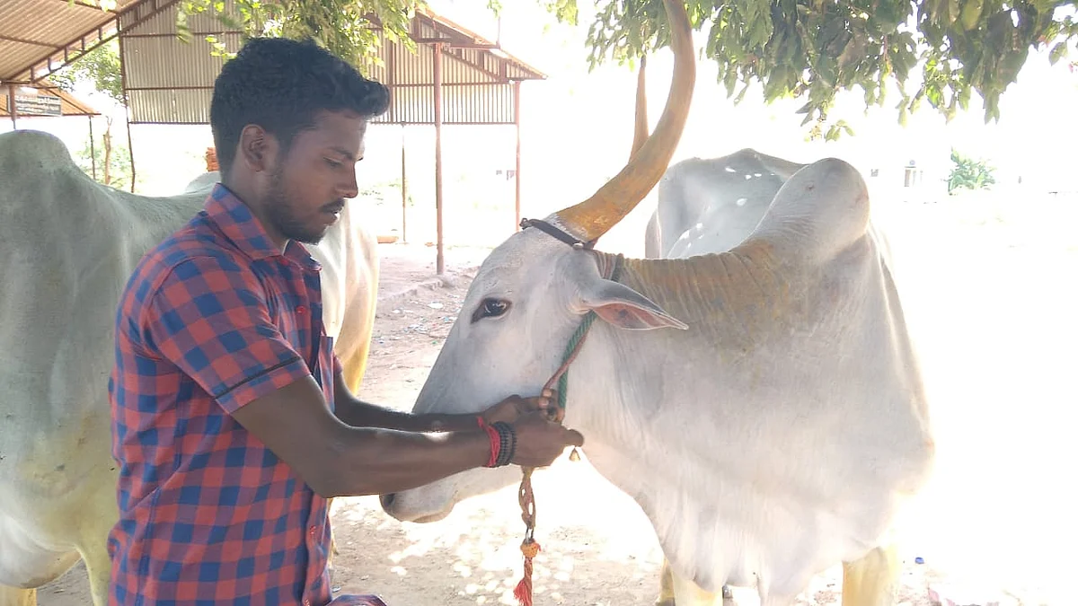ஆனந்த்