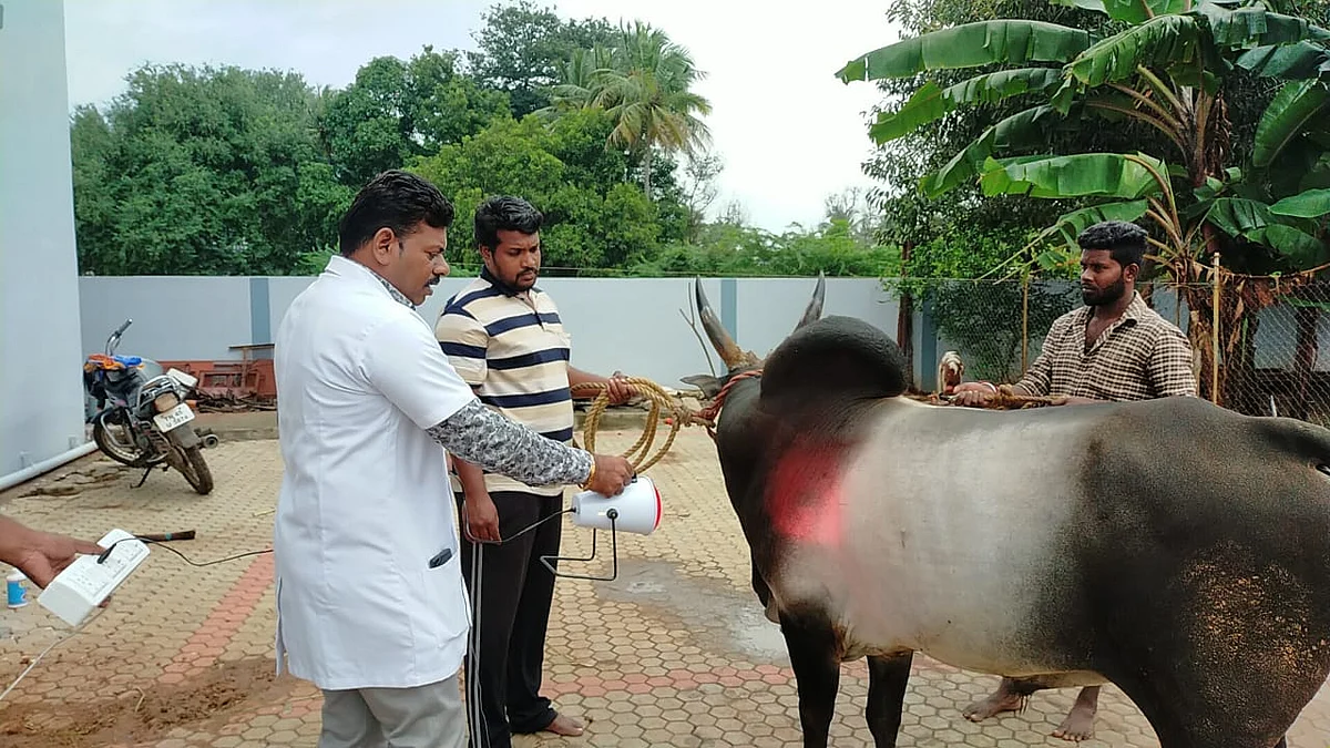 மருத்துவர். மெரில்ராஜ்.