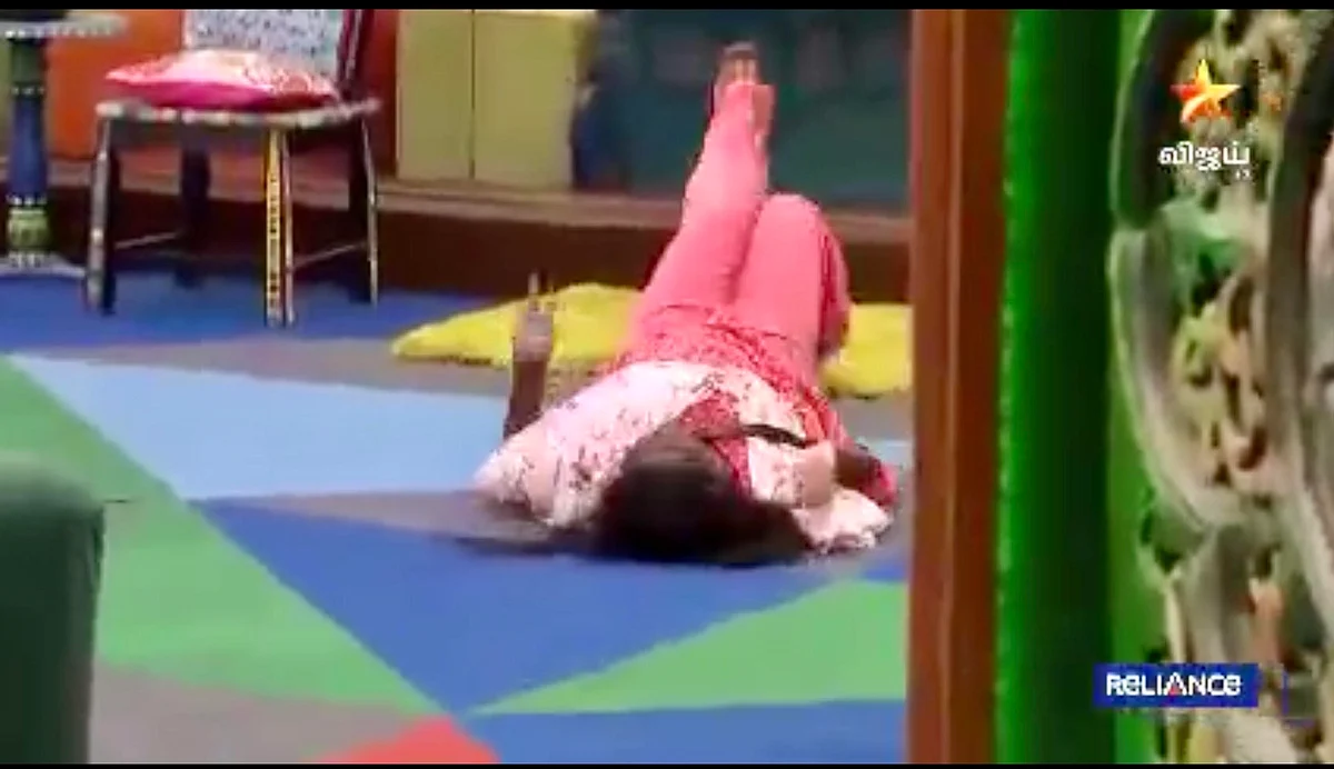 Bigg boss nisha