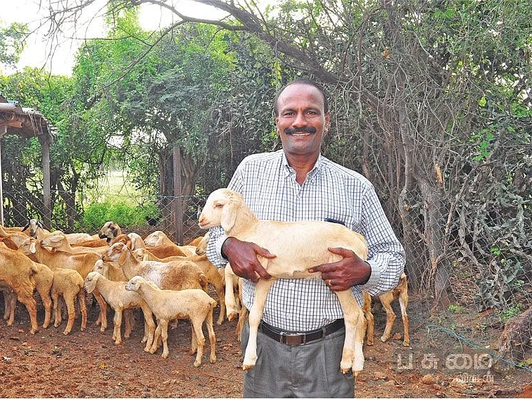 350 ஆடுகள்... 355 கோழிகள்... மாதம் ரூ.2,18,000 லாபம்!
