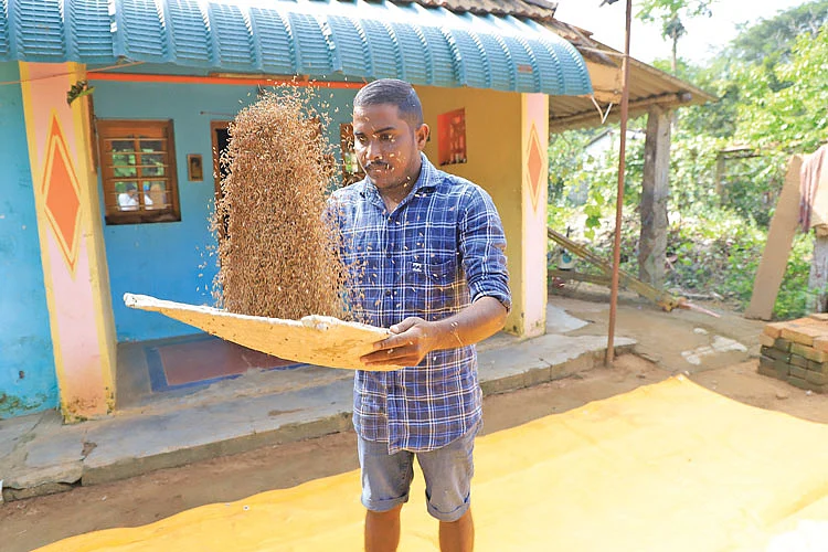 நெல்லைப் புடைக்கும் பணியில்