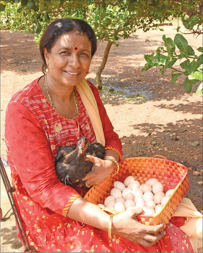 முட்டைகளுடன் கோமதி