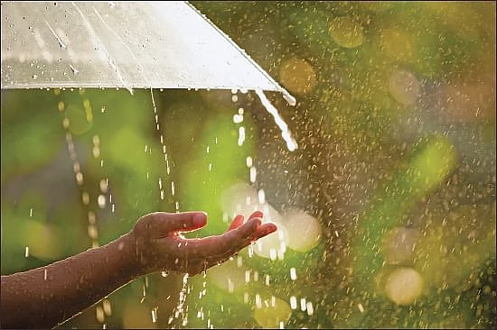 மழை நீர்