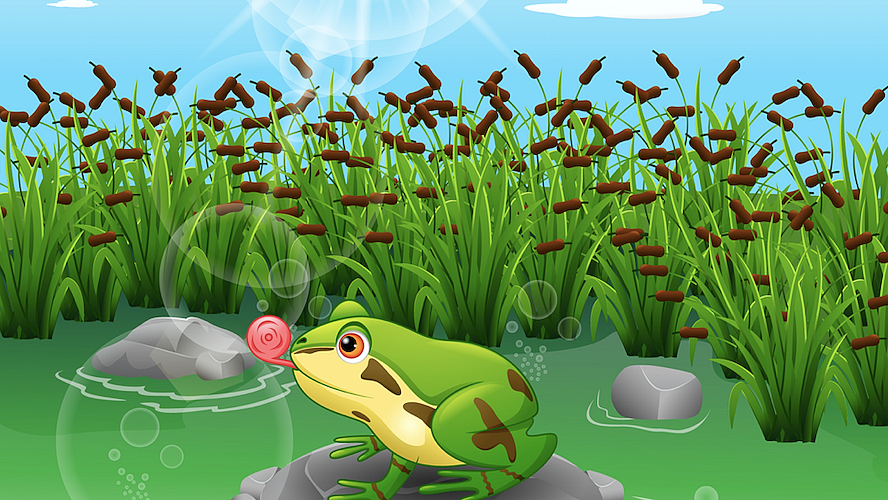 Frog