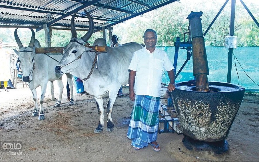 மாடுகள் பூட்டப்பட்ட கல்செக்குடன் செல்வன்