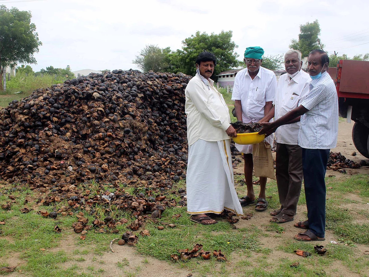பனைவிதைகளை வழங்கும் சாதுராஜன்