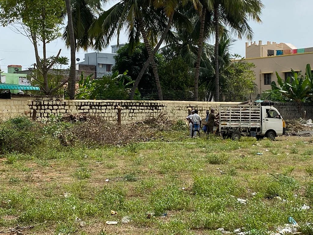மரத்துண்டுகளை வாகனத்தில் ஏற்றும்போது...