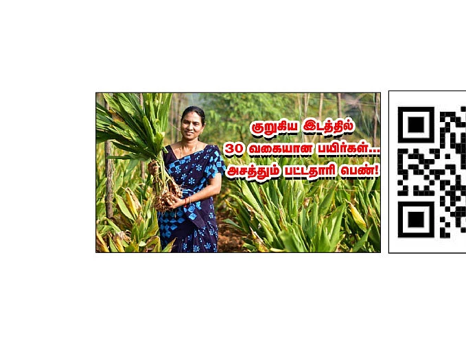 வீட்டுத்தோட்டம், மாடித்தோட்டம்,
விவசாயம், கால்நடைவளர்ப்பு! - பசுமை விகடன் சேனல்