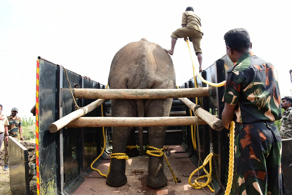 வளர்ப்பு முகாமை நோக்கி கிளப்பினர்.