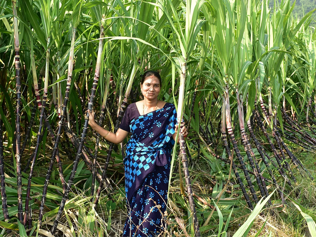 மண்ணை நம்பினேன்,
அது என்னை ஏமாத்தலை!