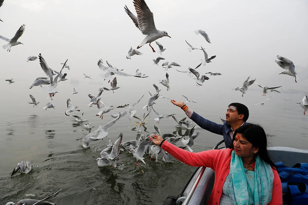 Indian feeds Siberian gulls from a boat on the River Ganges in Varanasi, India.