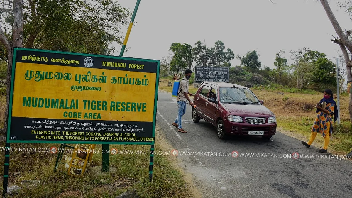 பறவைக் காய்ச்சல் சோதனை