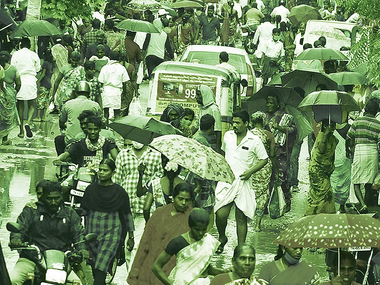 மிளகாய் முதல் மீன் வரை... ராமநாதபுரம் மார்க்கெட்! - உங்கள் ஊர் சந்தை...