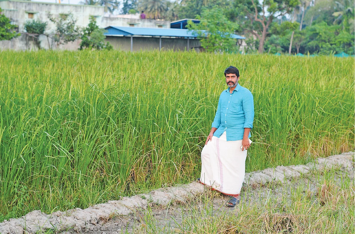 பாரம்பர்ய நெல் வயலின் அருகே டாக்டர் தினேஷ்பாபு