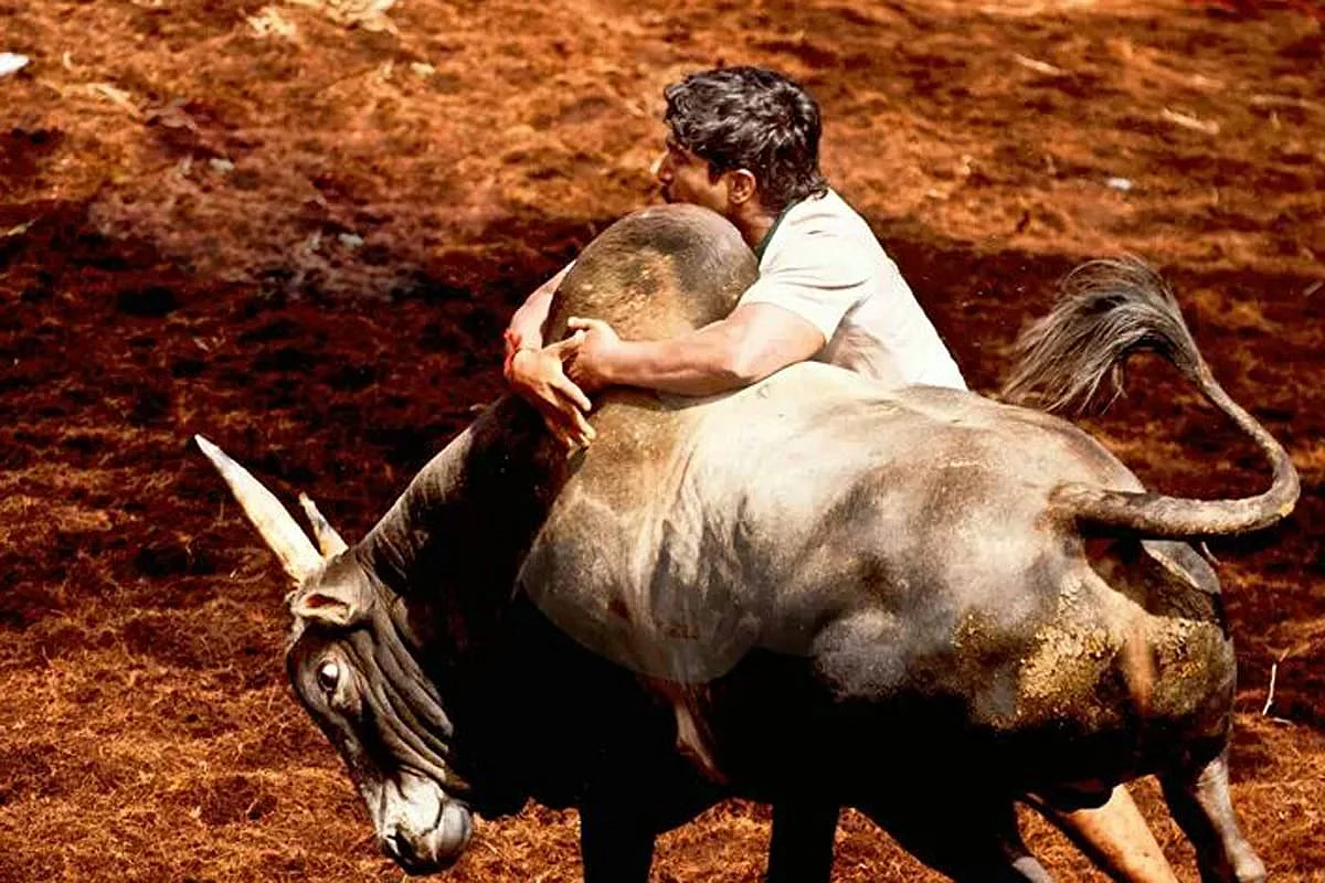 முடக்கத்தான் மணி
