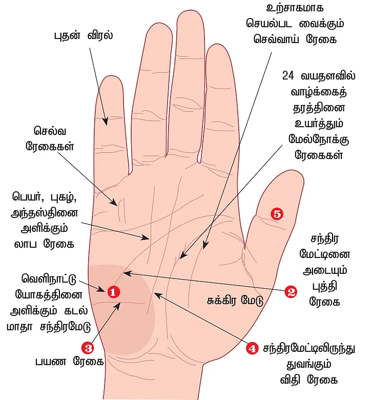 வெளிநாட்டு யோக்கம் ரேகை அமைப்பு