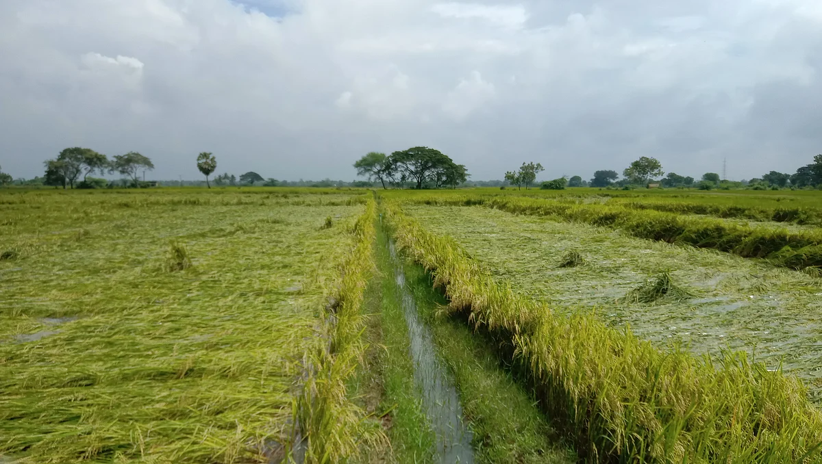 மழை