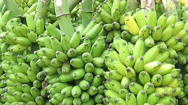 வாழை