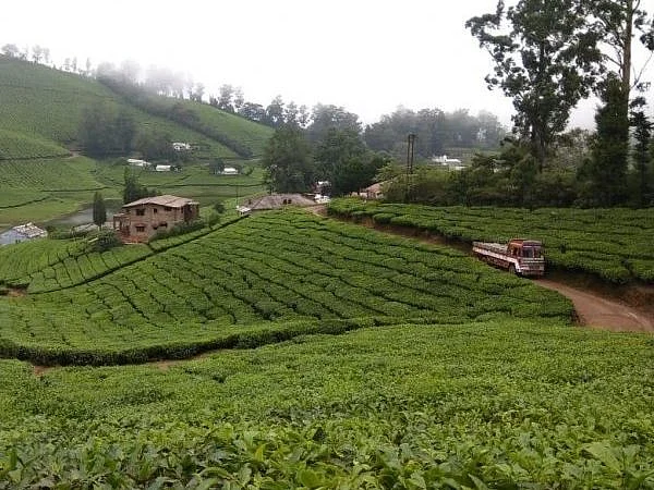 மேகமலை