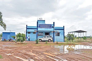 புலிக்குளம் மாடுகள் ஆராய்ச்சி மையம்