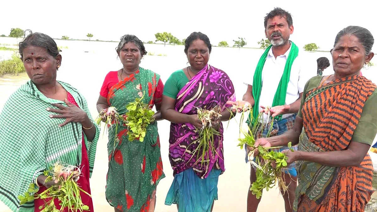 மழை நீரில் மூழ்கிய பயிர்கள்