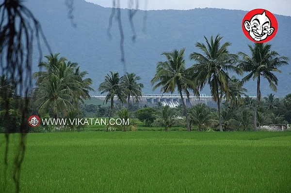 தொடர்ந்து பெய்யும் மழை