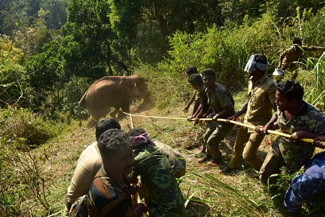ஆபரேஷன் புரோக்கன் டஸ்கர்