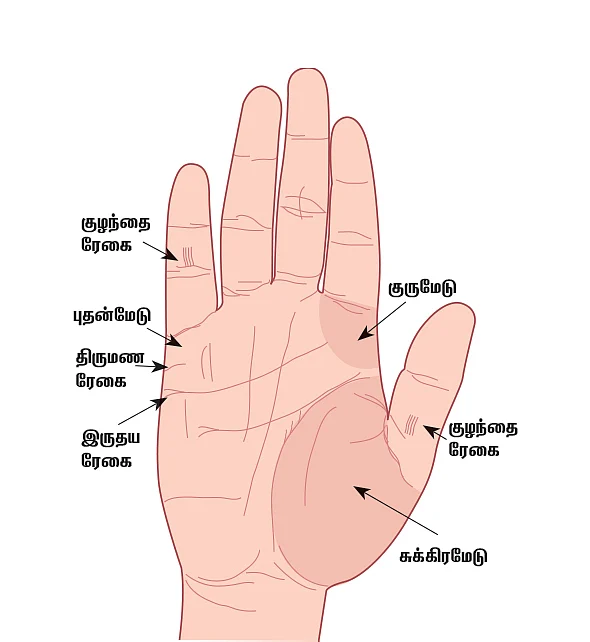 குழந்தை பாக்கியம்!
