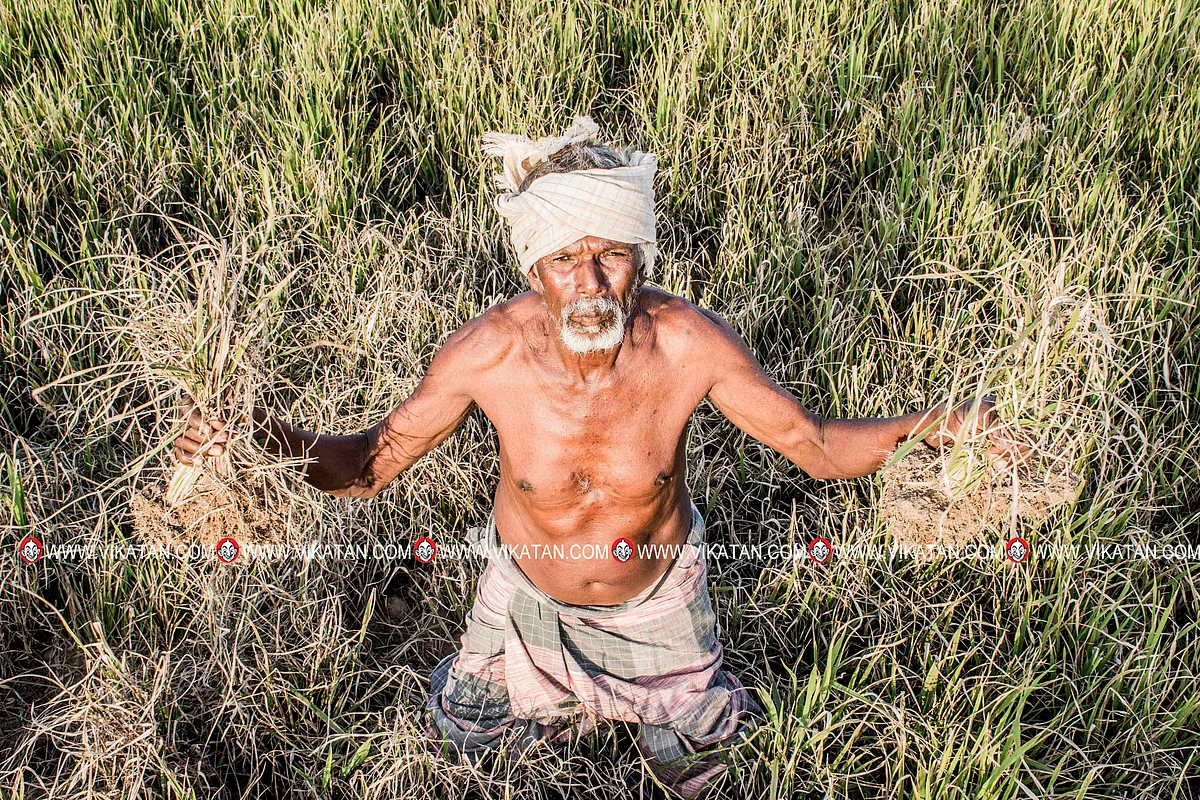 விவசாயி