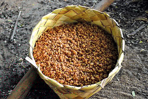 பனங்கற்கண்டு