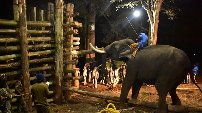 ஆபரேஷன் `ரோக்கன்‌ டஸ்கர்'