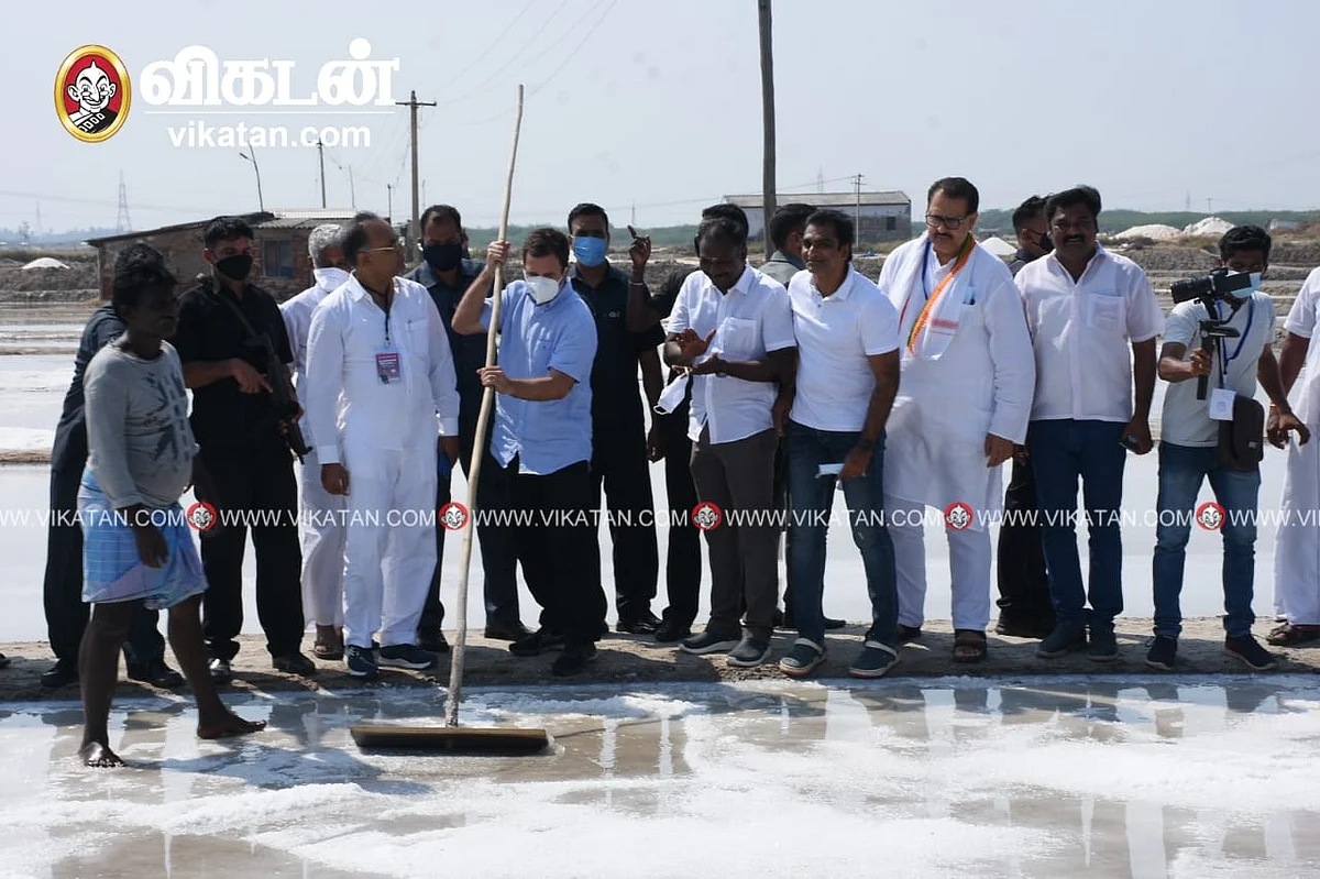 உப்பளத்தில் ராகுல்