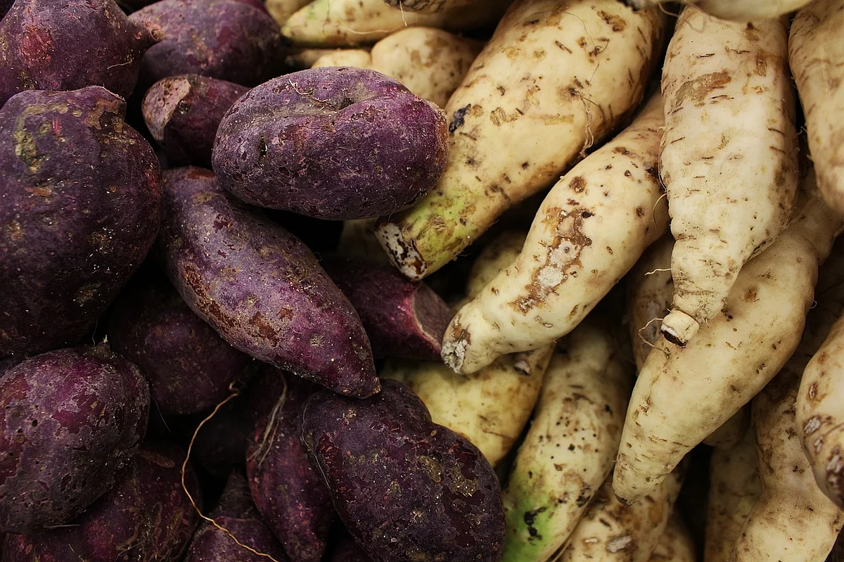 Sweet Potato