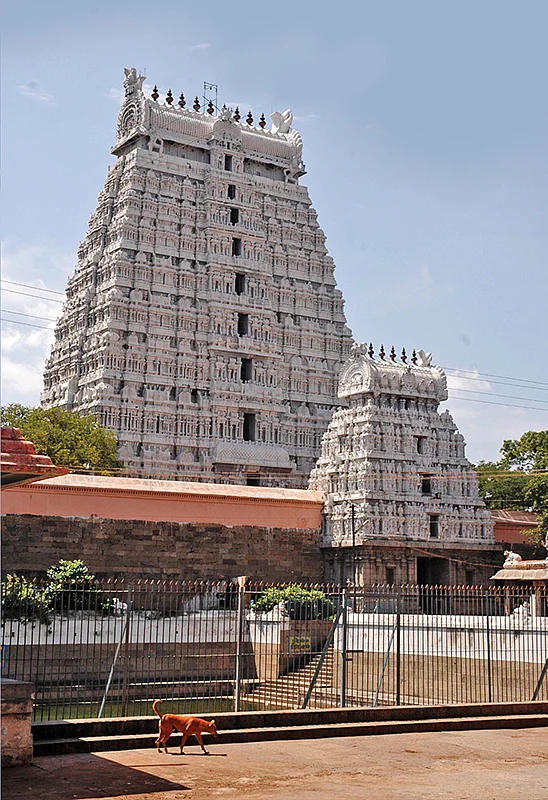வண்டாடிச் சித்தர்கள் வழிபடும் மாசிமகம்!
