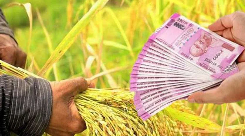 Agriculture loan