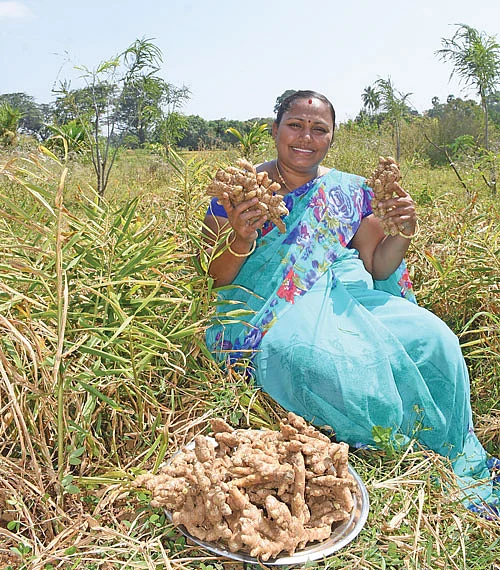 முத்துலெட்சுமி