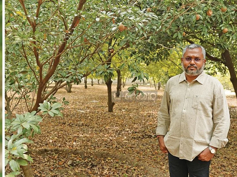 முள் சீத்தா... இலை, பழங்கள் இலவசம்!