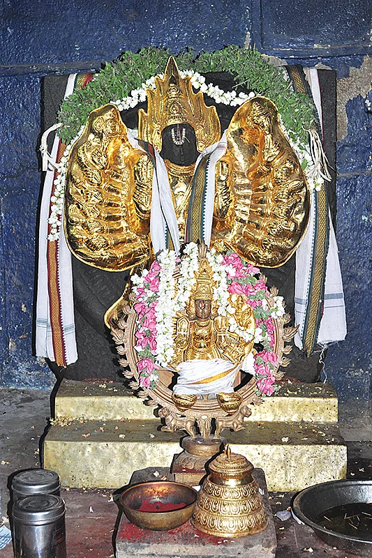 சுதர்சன ஹோமம்