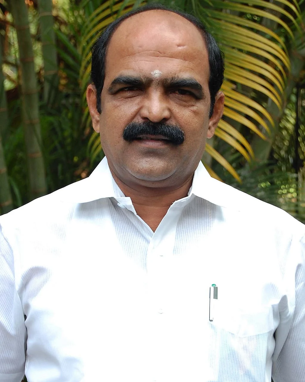 பச்சைமால்