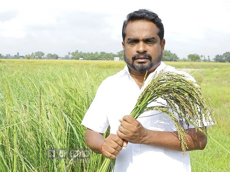 ஏக்கருக்கு ரூ.35,000 லாபம்...
மார்கழி மழையிலும் விளைந்த சீரகச் சம்பா!