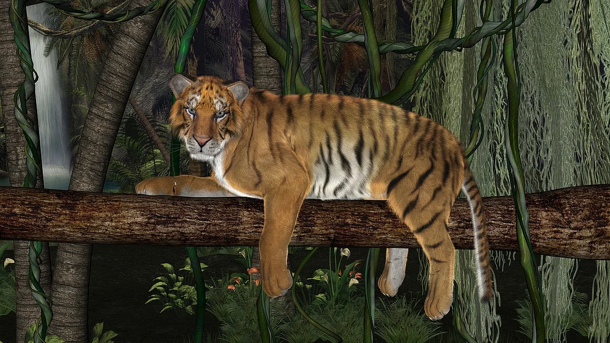 Tiger
