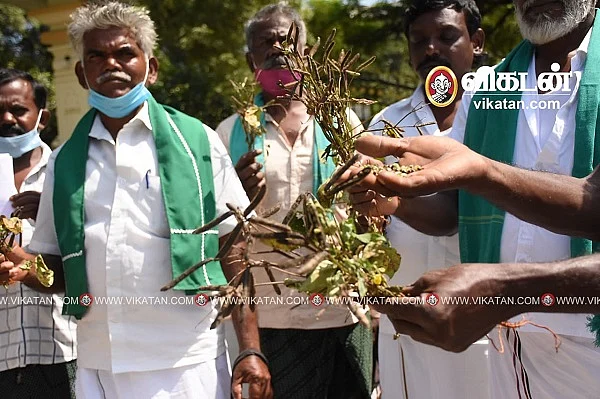 பாதிக்கப்பட்ட விவசாயிகள்