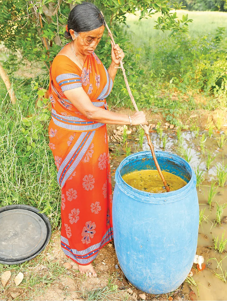 இயற்கை விவசாய தொழில்நுட்பங்கள்
