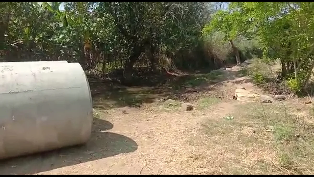 சுடுகாட்டுப் பாதை