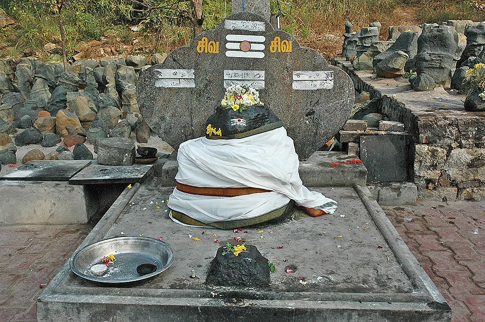 சிவஞான ஸ்வாமி